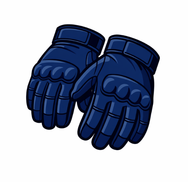 Picture for category Gloves